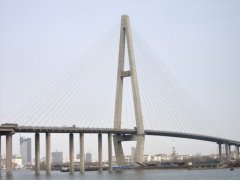  天津海河独塔斜拉桥